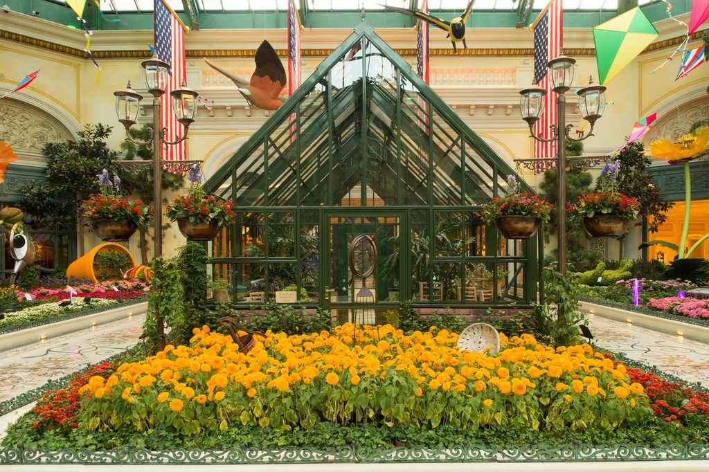 Bellagio Conservatory - Summer Display - Greenhouse - 2014