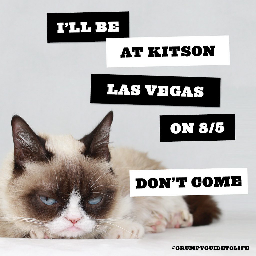 Grumpy Cat Makes Book Tour Appearance at Kitson