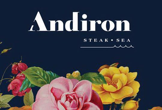 Andiron Steak & Sea by Kim Canteenwalla and Elizabeth Blau