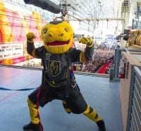 VGK Team Mascot, Chance, Rides the Slotzilla Zipline in Downtown Las Vegas