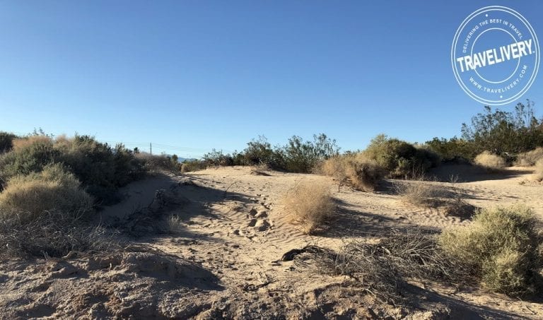 Dunes Discovery Area at Sunset Park – A Las Vegas Hidden Gem
