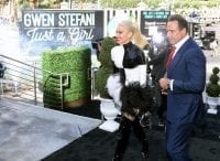 Gwen Stefani Arrival - Photo Credit- Bryan Steffy