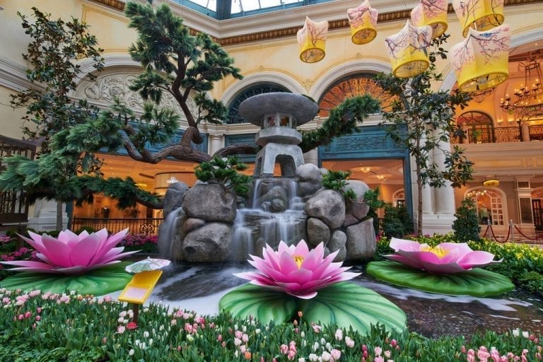 Bellagio Conservatory & Botanical Gardens – 2018 Japanese Spring Display