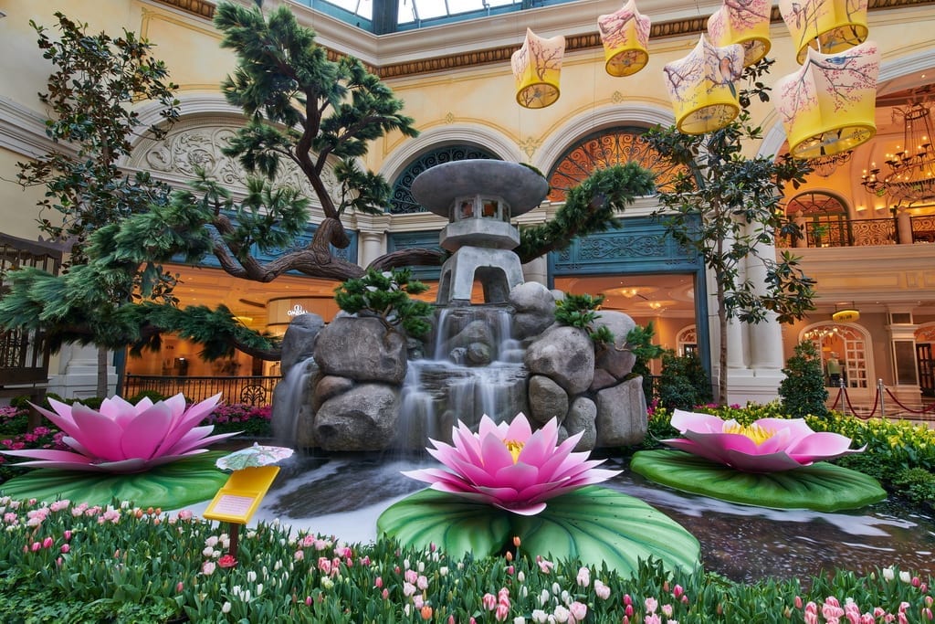 Bellagio Conservatory & Botanical Gardens - 2018 Japanese Spring Display