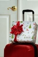 Ethel M Christmas 2018 - Luggage At The Door
