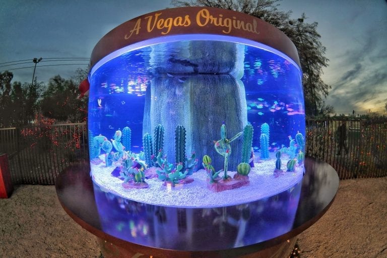 Tanked on Animal Planet Unveil Aquarium at Ethel M Chocolates