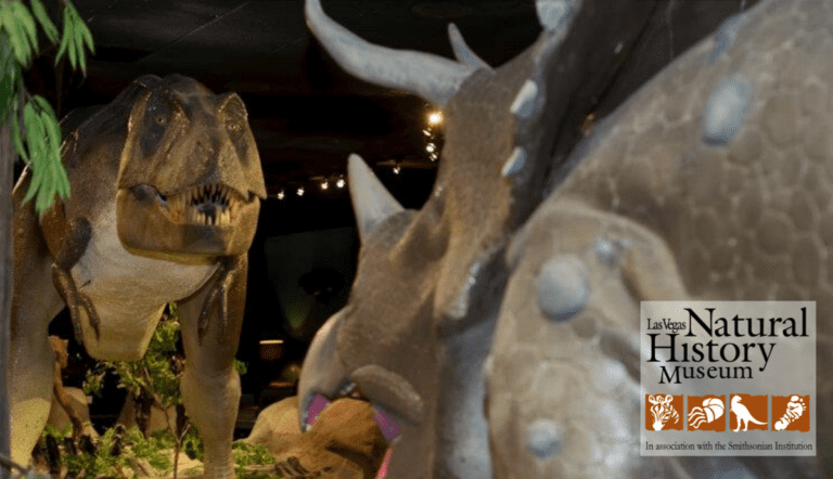 Las Vegas Natural History Museum – Traveling Exhibit, In the Dark