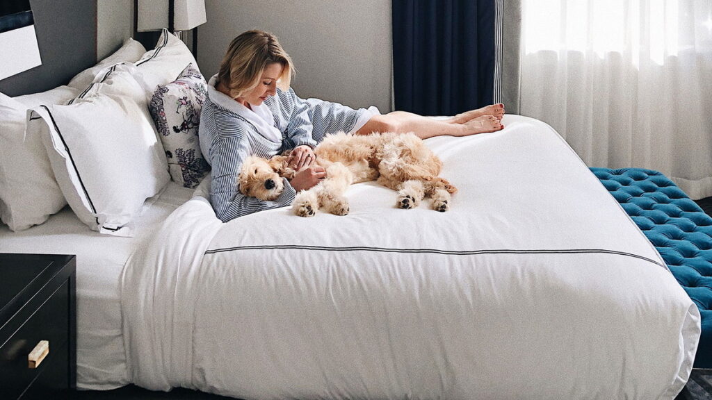 Pet Friendly Hotels and Airlines