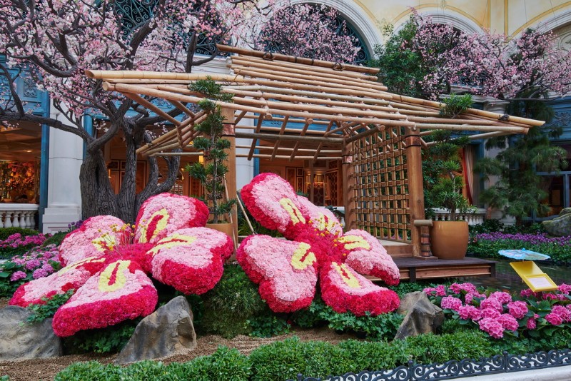 Bellagios-Conservatory-Botanical-Gardens-2018-Japanese-Spring-Display-03