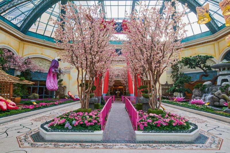 Bellagios-Conservatory-Botanical-Gardens-2018-Japanese-Spring-Display-04