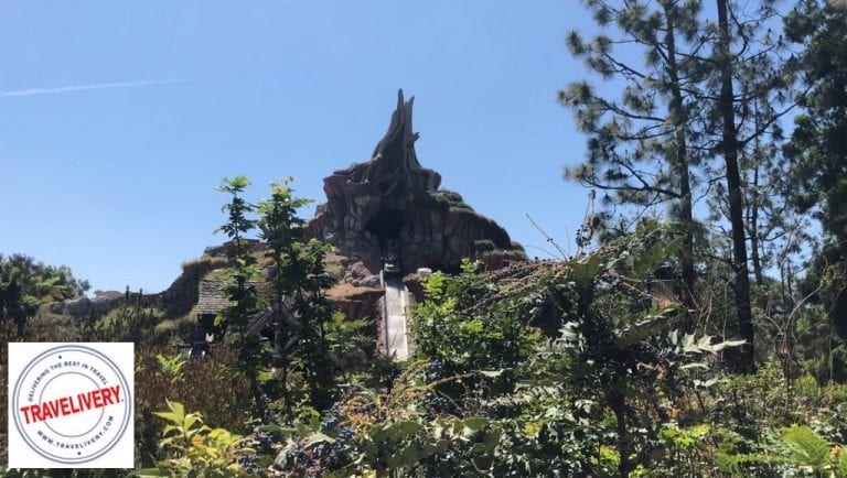 Find THE Secret Path at Disneyland – Yes, THE 1 and Only