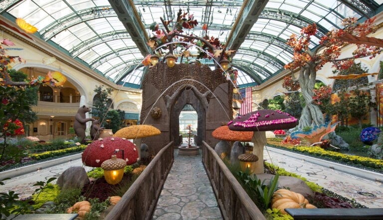 Bellagio Conservatory’s Fall 2020 Display – Into The Woods