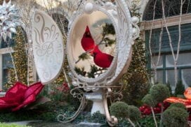 Bellagio Conservatory Winter Display 2020 - North Bed