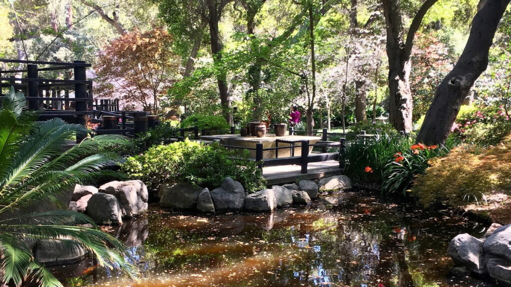 traditional Japanese garden pathway at Descanso Gardens