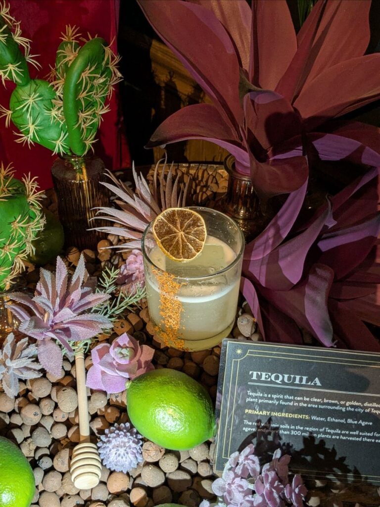 The Cabinet of Curiosities